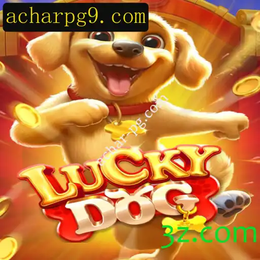 Descubra o Mundo Empolgante de LuckyDog